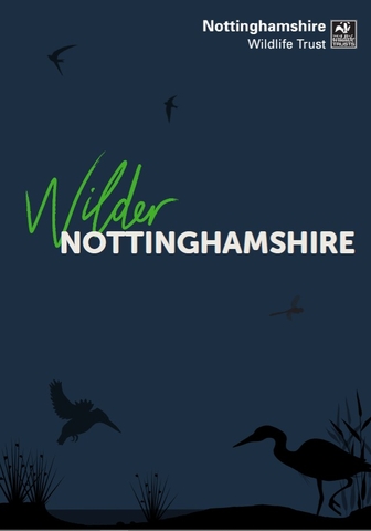 Creating A Wilder Nottinghamshire By 2030 | Nottinghamshire Wildlife Trust